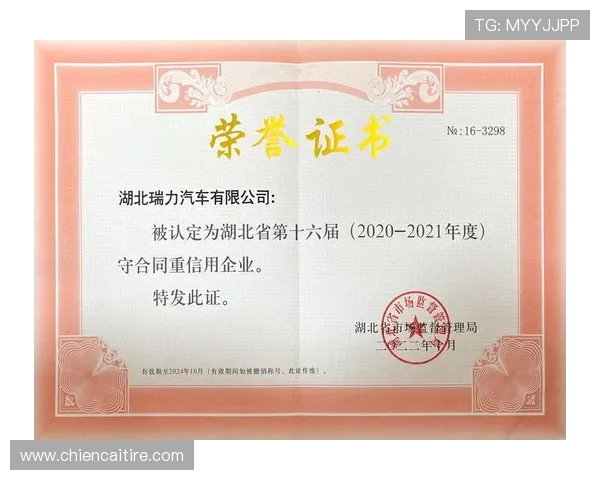 尊龙凯时品牌荣誉与资质认证：彰显行业领导地位的权威背书